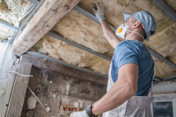 Best Cellulose Insulation  in Hamshire, TX