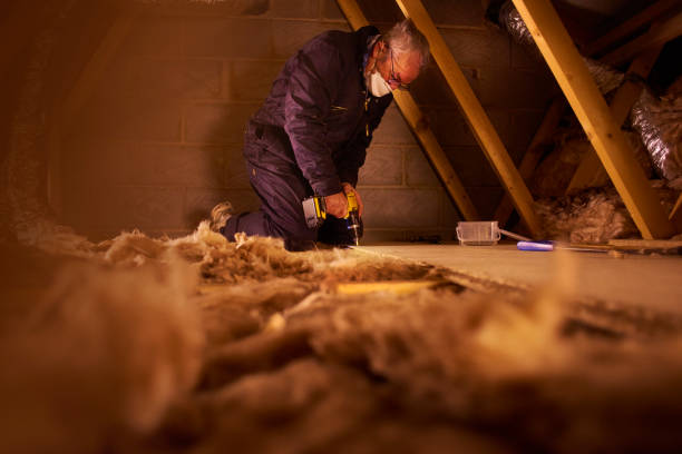 Best Best Insulation Companies  in Hamshire, TX